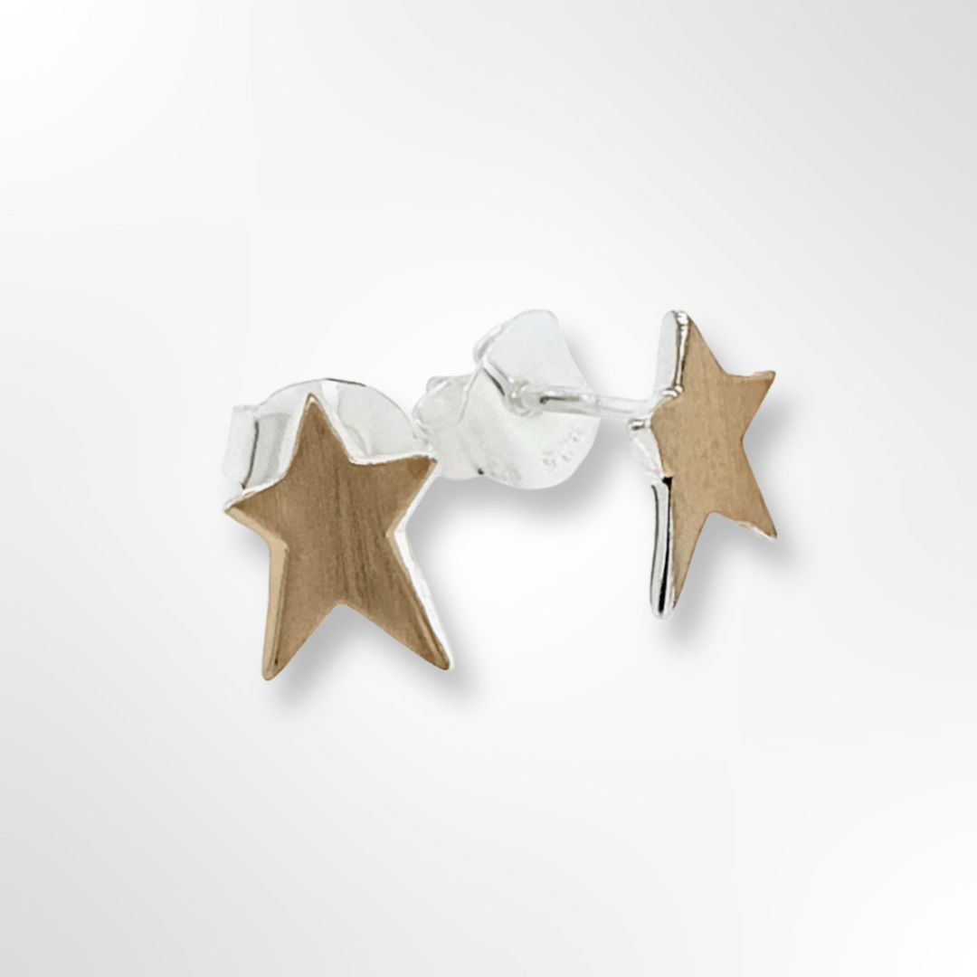 Sterling Silver Gold Plated Satin Star Stud Earrings