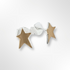 Sterling Silver Gold Plated Satin Star Stud Earrings
