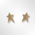 Sterling Silver Gold Plated Satin Star Stud Earrings