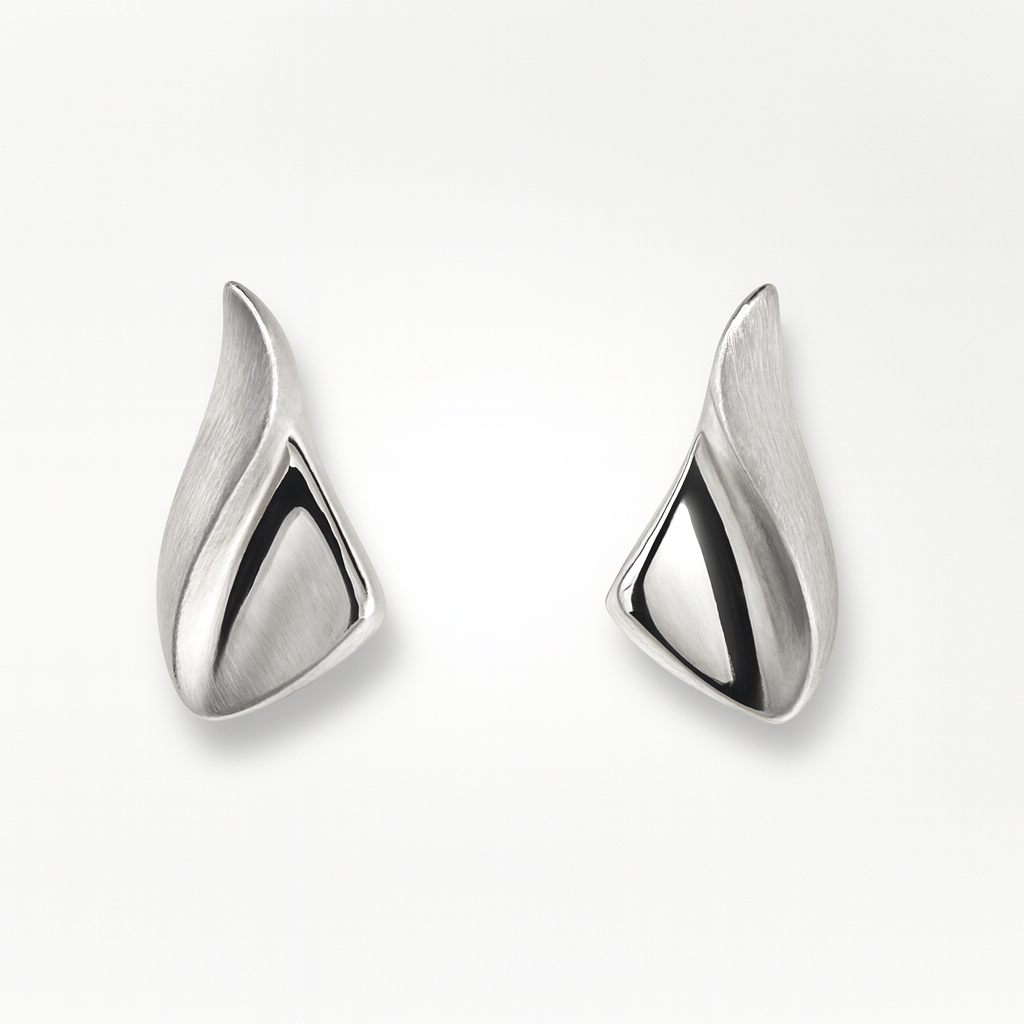 Pair of silver earrings on a white background