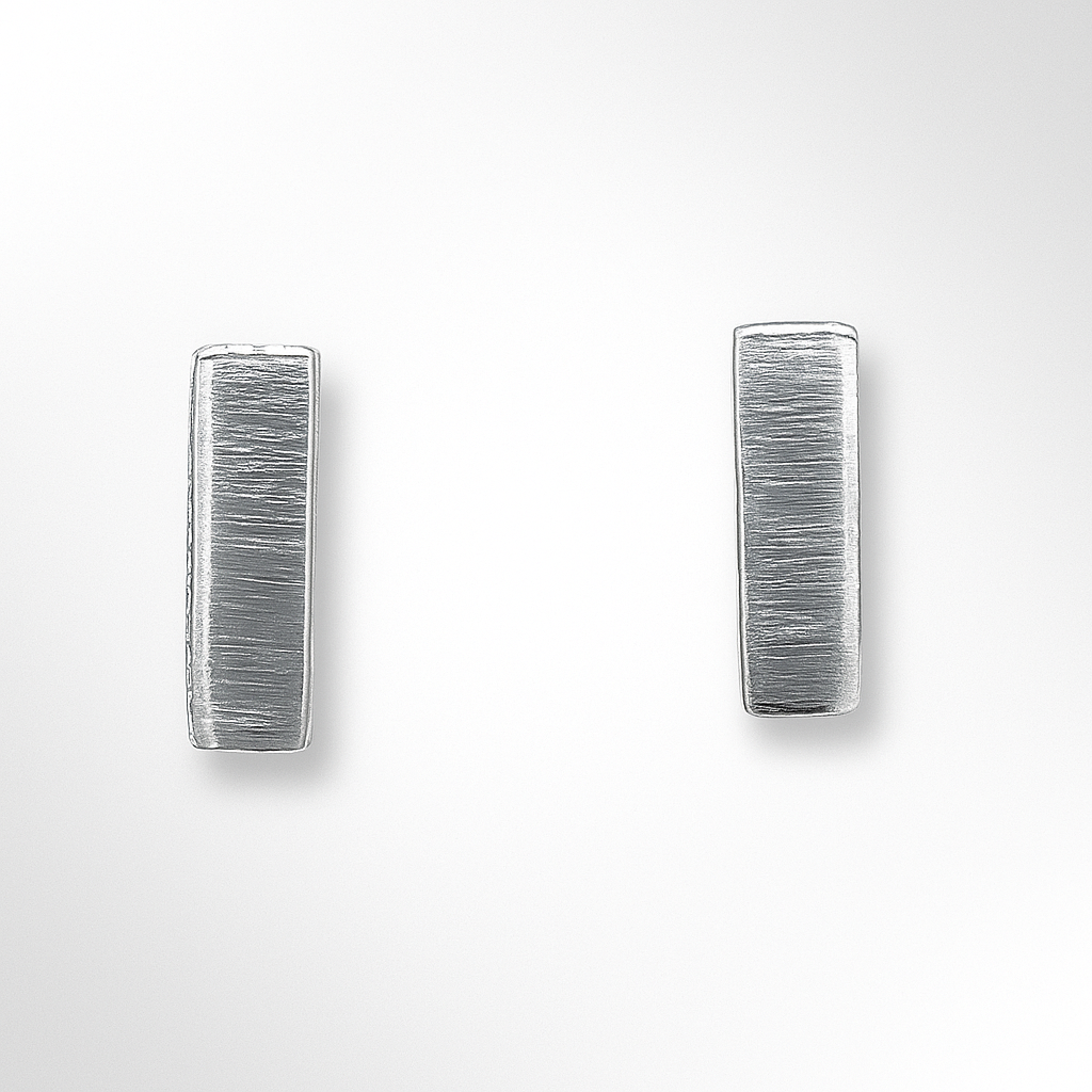 Pair of silver earrings on a white background